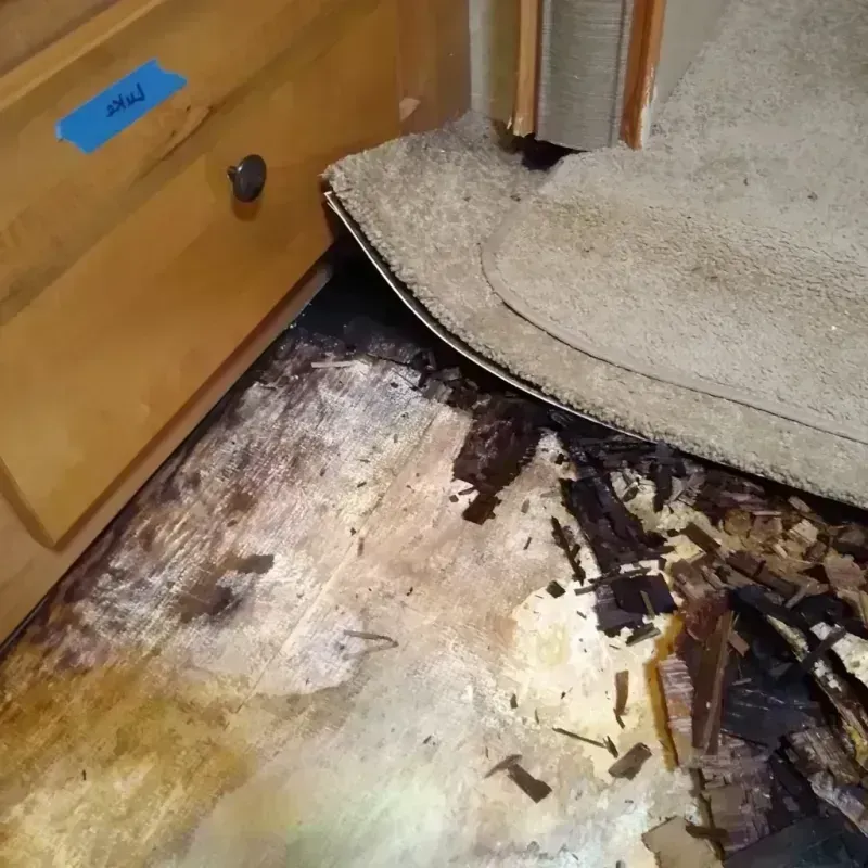 Wood Floor Water Damage in Twin Rivers, NJ